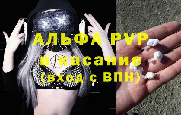 СК Богородицк