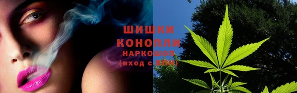 mdpv Богородск