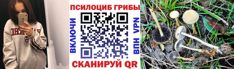 Галлюциногенные грибы мухоморы  блэк спрут зеркало  Юрюзань  купить наркотик 